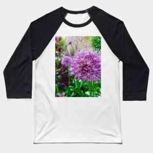 Allium Baseball T-Shirt